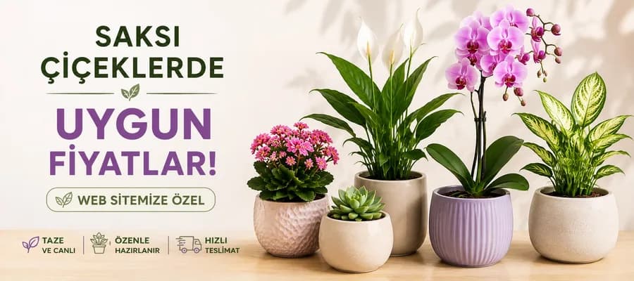 saksi cicekleri — Royal Flowers