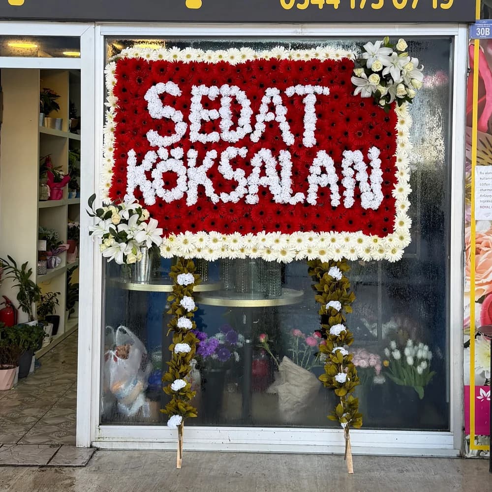 Dev Pano Çelenk